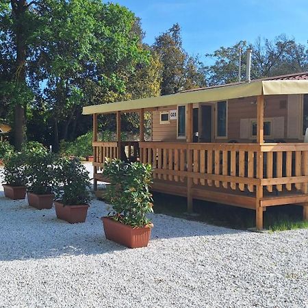 Mobile Home Viareggio - Including Airco- Camping Paradiso - G008 Exterior photo