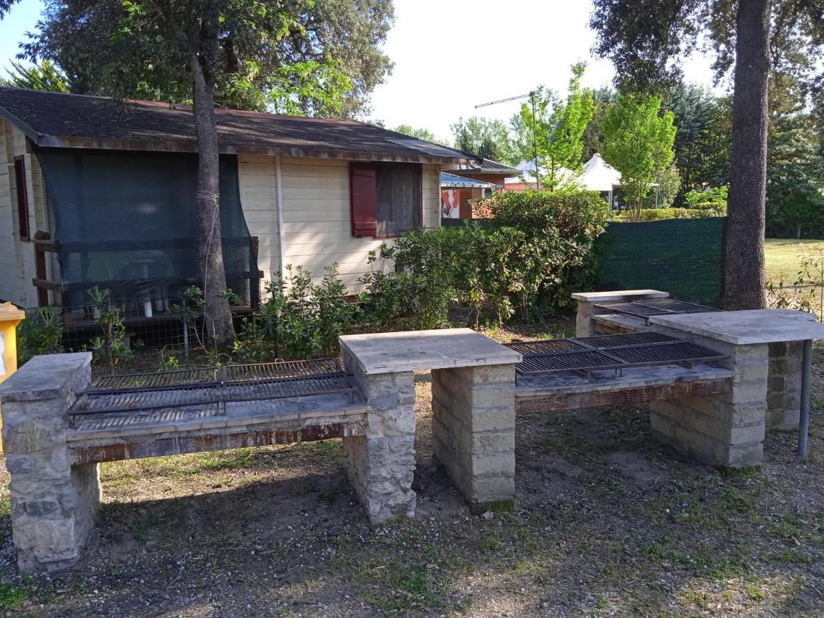 Mobile Home Viareggio - Including Airco- Camping Paradiso - G008 Exterior photo